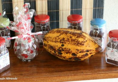 Xocoalt, algo más que chocolates