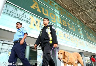 Policía Nacional garantiza la seguridad de los usuarios del Aeropuerto Augusto C. Sandino