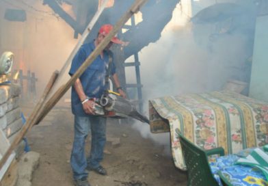 Buen Gobierno no da tregua a mosquitos transmisores
