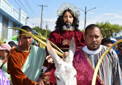 Cat&oacute;licos granadinos participan en procesi&oacute;n de Domingo de Ramos