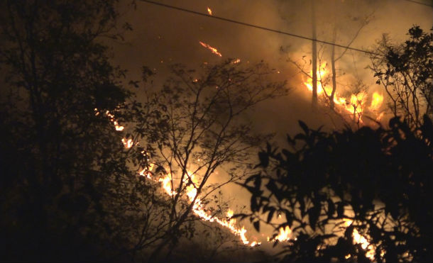Incendio devora hectáreas de bosques de pino en Dipilto, Nueva Segovia 