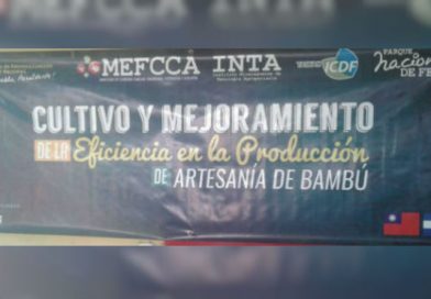 MEFCCA desarrolla taller de elaboración de artesanías y muebles de bambú