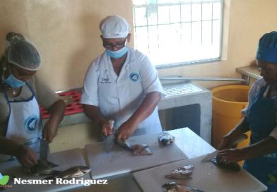 Pescadoras artesanales de La Horqueta, son ejemplo de esfuerzo y superación