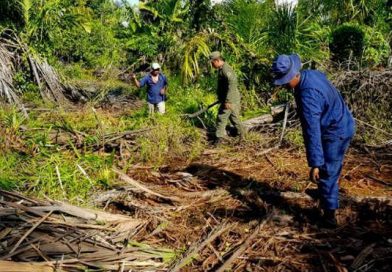 Fuego en Indio Ma&iacute;z se est&aacute; sitiando con rondas a punta de machete