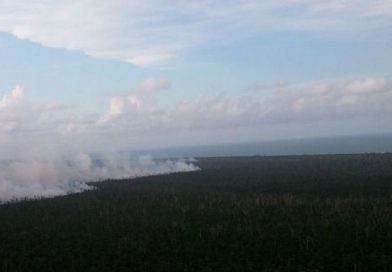 Ejército informa que incendio en Indio Maíz no ha avanzado y continúan labores
