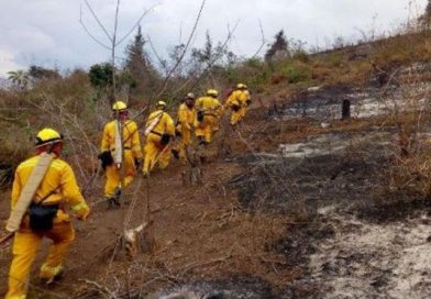 Unas 2.000 hectáreas de bosques se han incendiado en Guatemala