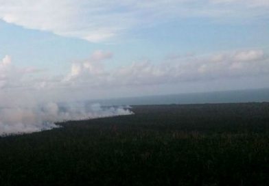 Compañera Rosario presenta informe sobre acciones del Ejército de Nicaragua para combatir incendio en Reserva Biológica Indio Maíz