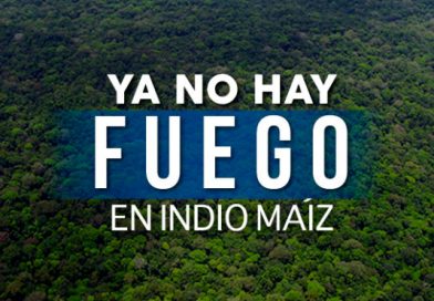 Compa&ntilde;era Rosario: &ldquo;A esta hora no hay fuego ya en Indio Ma&iacute;z"