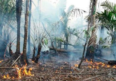Ejército establece zona de seguridad en zona afectada por incendio en Indio Maíz