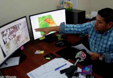 Áreas pantanosas no han permitido que incendio penetre al núcleo de la Reserva Indio Maíz