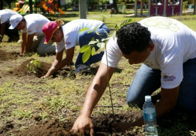 Foto Archivo / Presentan Plan de Reforestación con incremento de 200% en relación al 2017