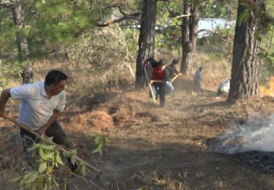 Nueva Segovia: Se registra incendio en bosque de pino en el cerro “La Cruz”, en Dipilto