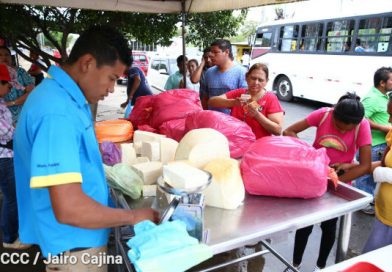 Actividad comercial recupera la normalidad en la capital