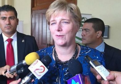 Embajadora Dogu: "No es posible combatir estos incendios con bomberos normales"