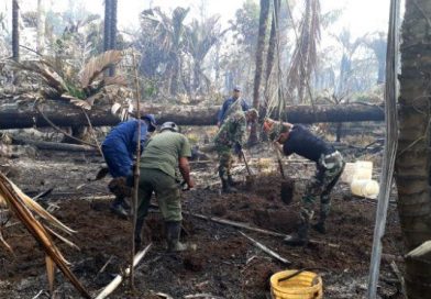 Más de 800 efectivos del Ejército combaten incendio en Indio Maíz