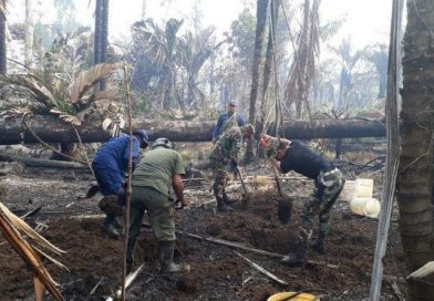 Ejército de Nicaragua despliega unidades para el combate y control del incendio en Reserva Indio Maíz