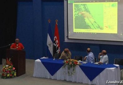 Expertos analizan emergencia en Reserva Indio Maíz