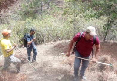 Autoridades sofocan incendio en la comunidad El Alcántara del municipio de Dipilto en Nueva Segovia