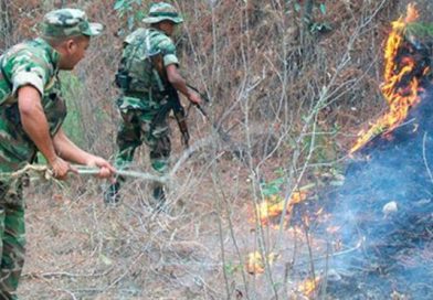 Sinapred actualiza planes de prevención de incendios agropecuarios