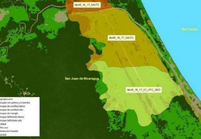 Pulmón de Reserva Indio Maíz sigue virgen