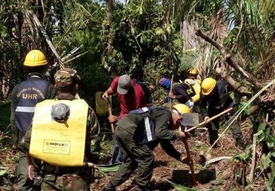 Compañera Rosario da a conocer informe sobre incendio en la Reserva Indio Maíz