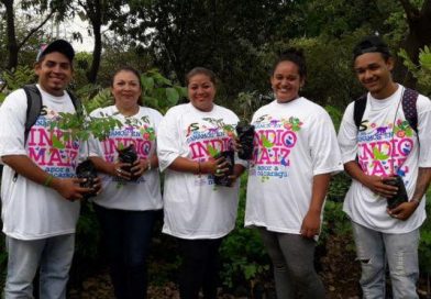 JS19J e INAFOR abren Jornada Nacional de Reforestaci&oacute;n