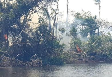 Bomberos aseguraron que la modalidad efectiva para controlar incendio en San Juan de Nicaragua es a través de la vía aérea