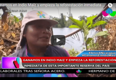 Ganamos en Indio Maíz y empieza la reforestación inmediata de esta importante reserva del país