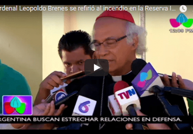 Cardenal Leopoldo Brenes se refirió al incendio en la Reserva Indio Maíz