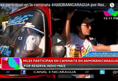 Miles participan en la caminata #AMORANICARAGUA por Reserva Indio Maíz