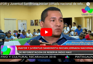 INAFOR y Juventud Sandinista inician jornada nacional de reforestación de Reserva Indio Maíz