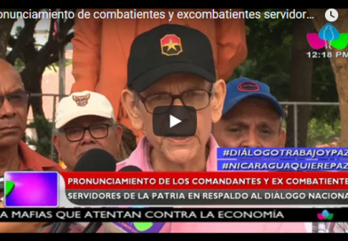 Pronunciamiento de combatientes y excombatientes servidores de la patria en respaldo al diálogo