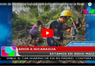 Ejército de Nicaragua trabaja para sofocar incendio en la Reserva Indio Maíz