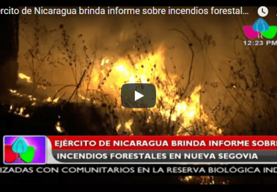 Ejército de Nicaragua brinda informe sobre incendios forestales en Nueva Segovia