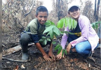 Otra Victoria: se controla incendio y se prepara plan para reforestar la Reserva Indio Maíz
