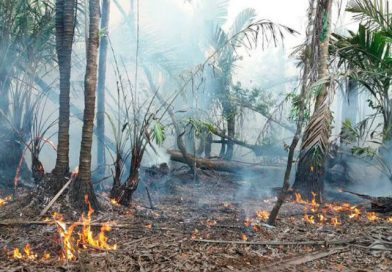 Policía Nacional presenta a responsable de incendio en Reserva Natural Indio Maíz