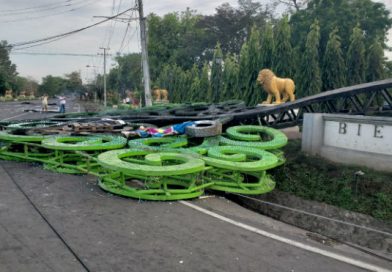 manifestantes violentos derribaron el árbol de la vida que estaba en la entrada del municipio de León