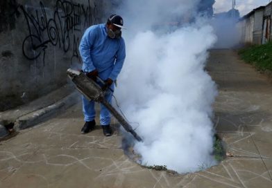 MINSA continúa desarrollando tareas contra el dengue