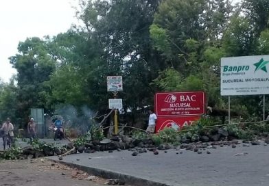 Instalan tranques en Ometepe