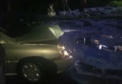 Grupos delincuenciales de la derecha botan árbol de la vida y provocan grave accidente de tránsito