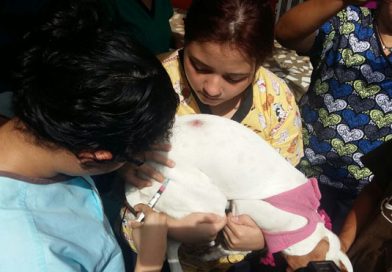 En junio llega a nuestro país el asesor de Salud Pública Veterinaria del Centro Panamericano de Fiebre