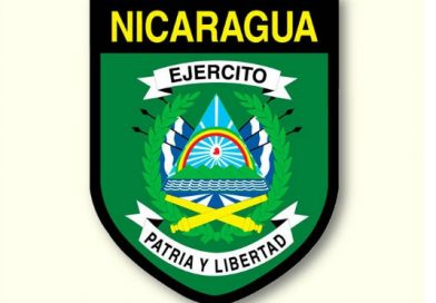 Ejército informa ingreso de camiones para reposición de unidades