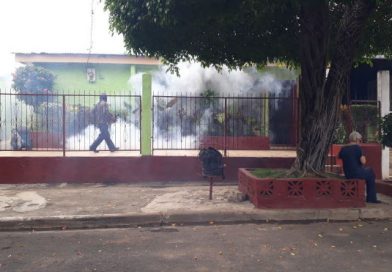 Minsa continúa jornada de fumigación en barrios capitalinos