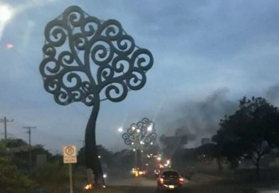 Supuesta marcha pacífica de la derecha culmina con actos vandálicos contra árboles de la vida