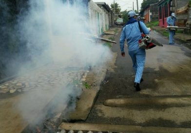 Familias deben contribuir con higiene y limpieza para evitar proliferación de enfermedades