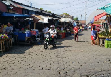 Transporte Colectivo y comercio funciona normalmente en León