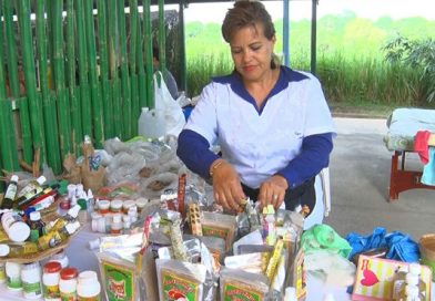 Naturista ofertan a precios solidarios medicina natural en el Parque Nacional de Ferias