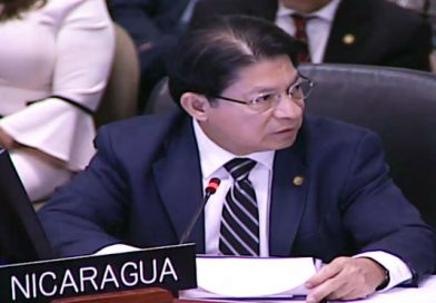 Gobierno de Nicaragua rechaza informe de la CIDH ante el Consejo Permanente de la OEA