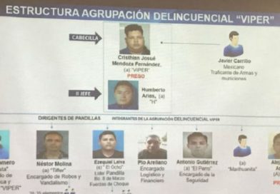 Presentan a cabecilla de grupo delincuencial "Viper"