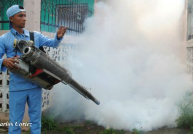 Limpien techos y eliminen la maleza para evitar más zancudos